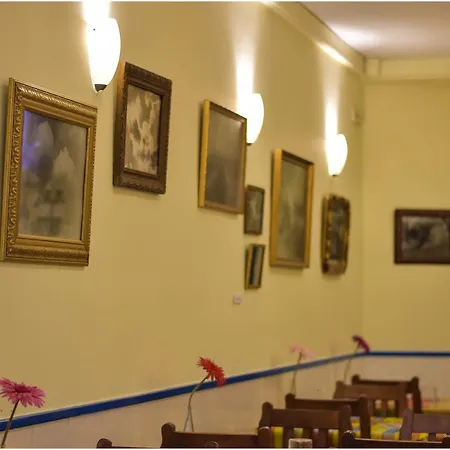 Guest house Oliveta Budget *